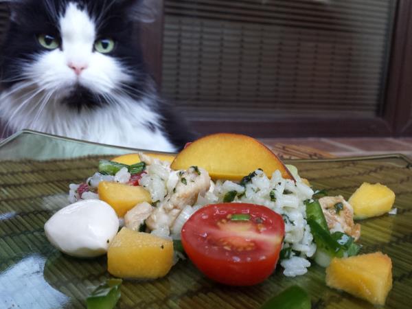 Osvežilna solata z zeliščnim rižem in breskvami